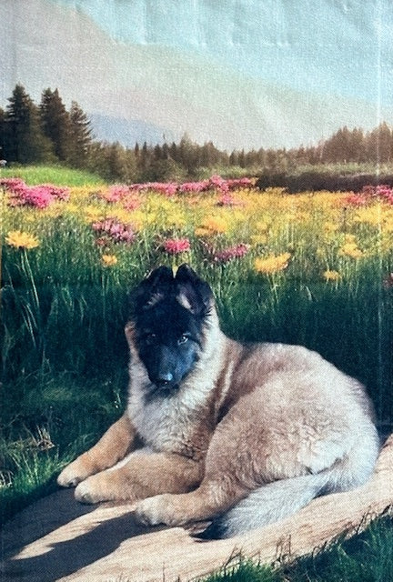 Belgian Tervuren Garden Flag