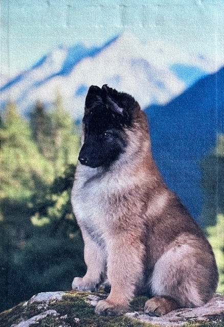 Belgian Tervuren Puppy Garden Flag